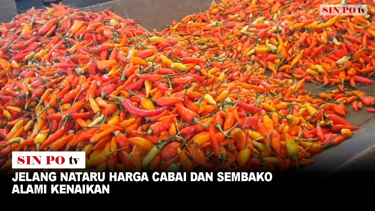 Jelang Nataru Harga Cabai Dan Sembako Alami Kenaikan