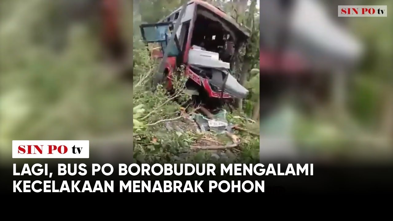 Lagi, Bus PO Borobudur Mengalami Kecelakaan Menabrak Pohon