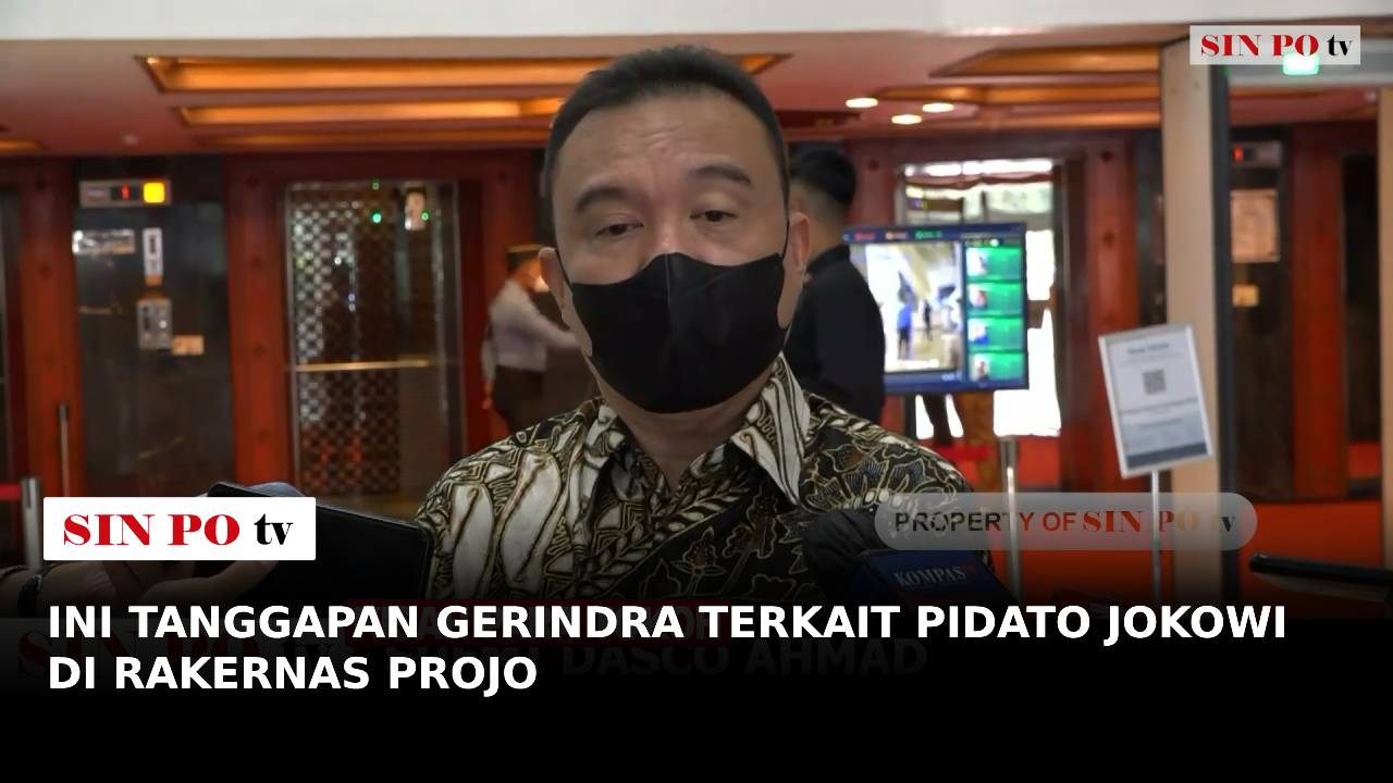 Ketua harian DPP Partai Gerindra Sufmi Dasco Ahmad