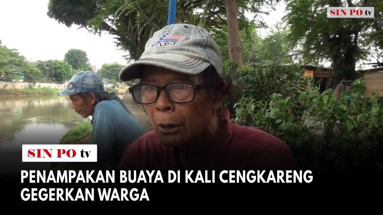 Penampakan Buaya di Kali Cengkareng Gegerkan Warga