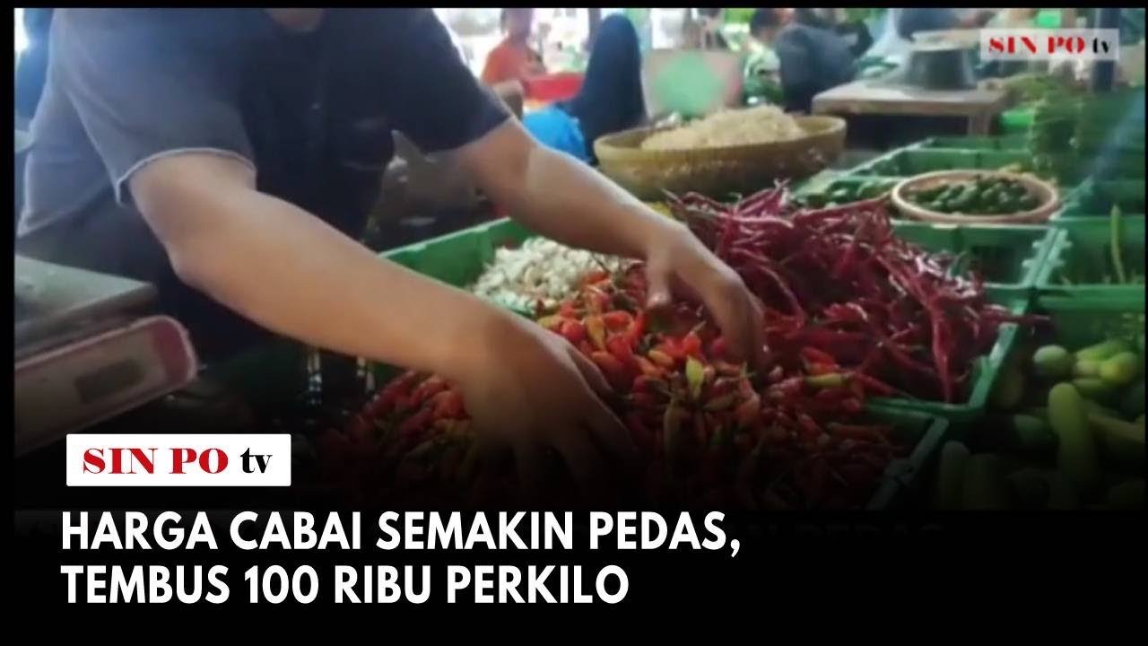 Harga Cabai Semakin Pedas, Tembus 100 Ribu Perkilo