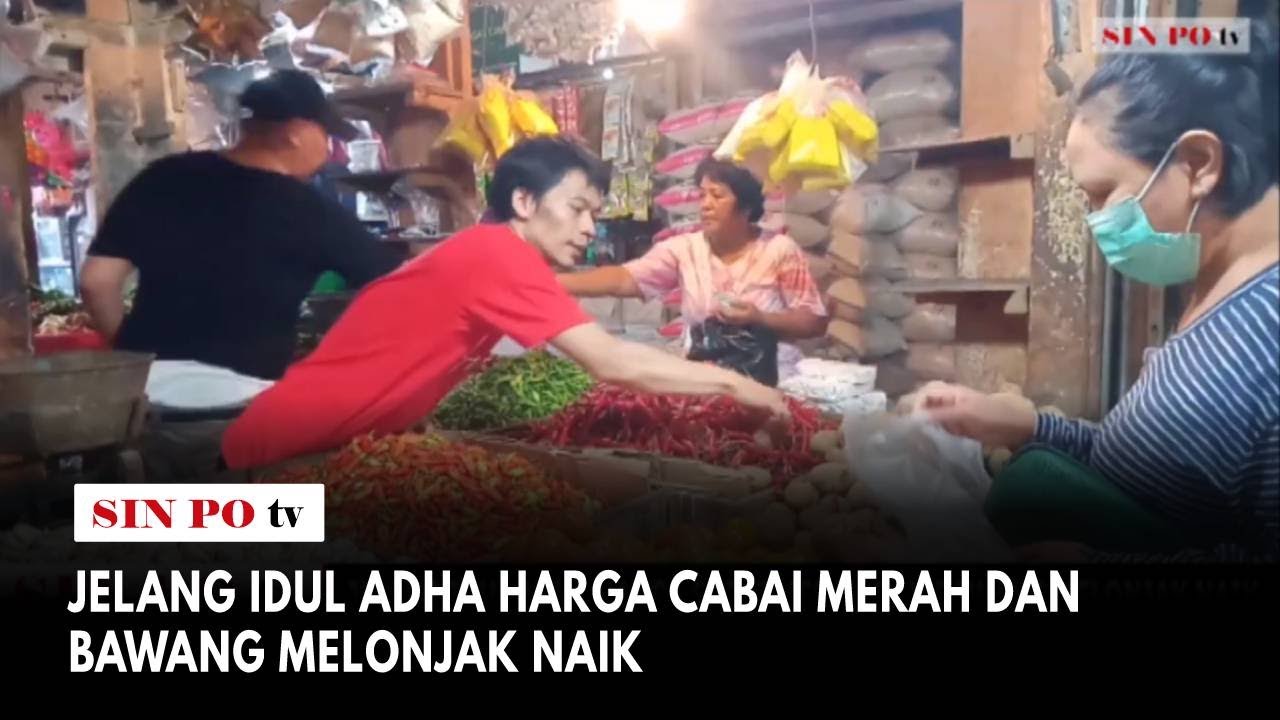 Jelang Idul Adha Harga Cabai Merah Dan Bawang Melonjak Naik