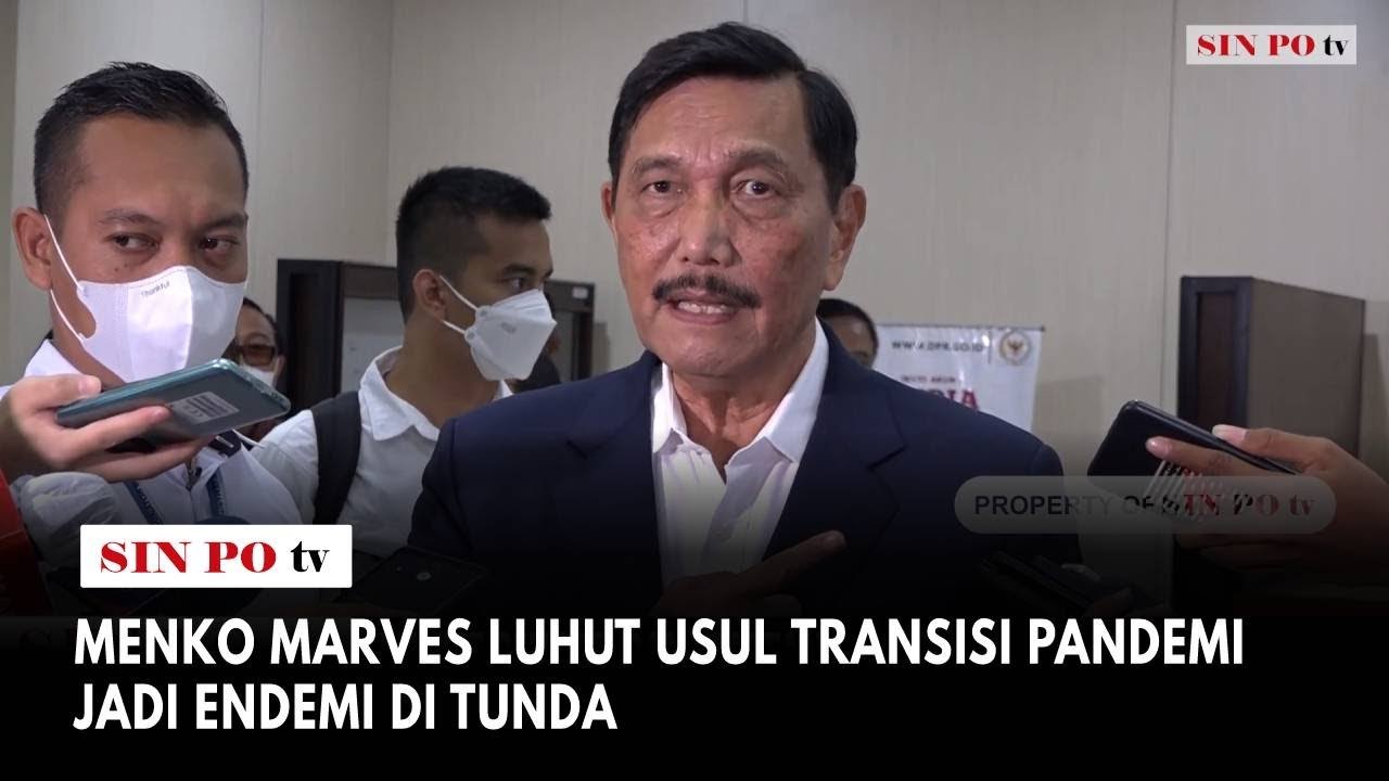 Menko Marves Luhut Usul Transisi Pandemi Jadi Endemi Di Tunda