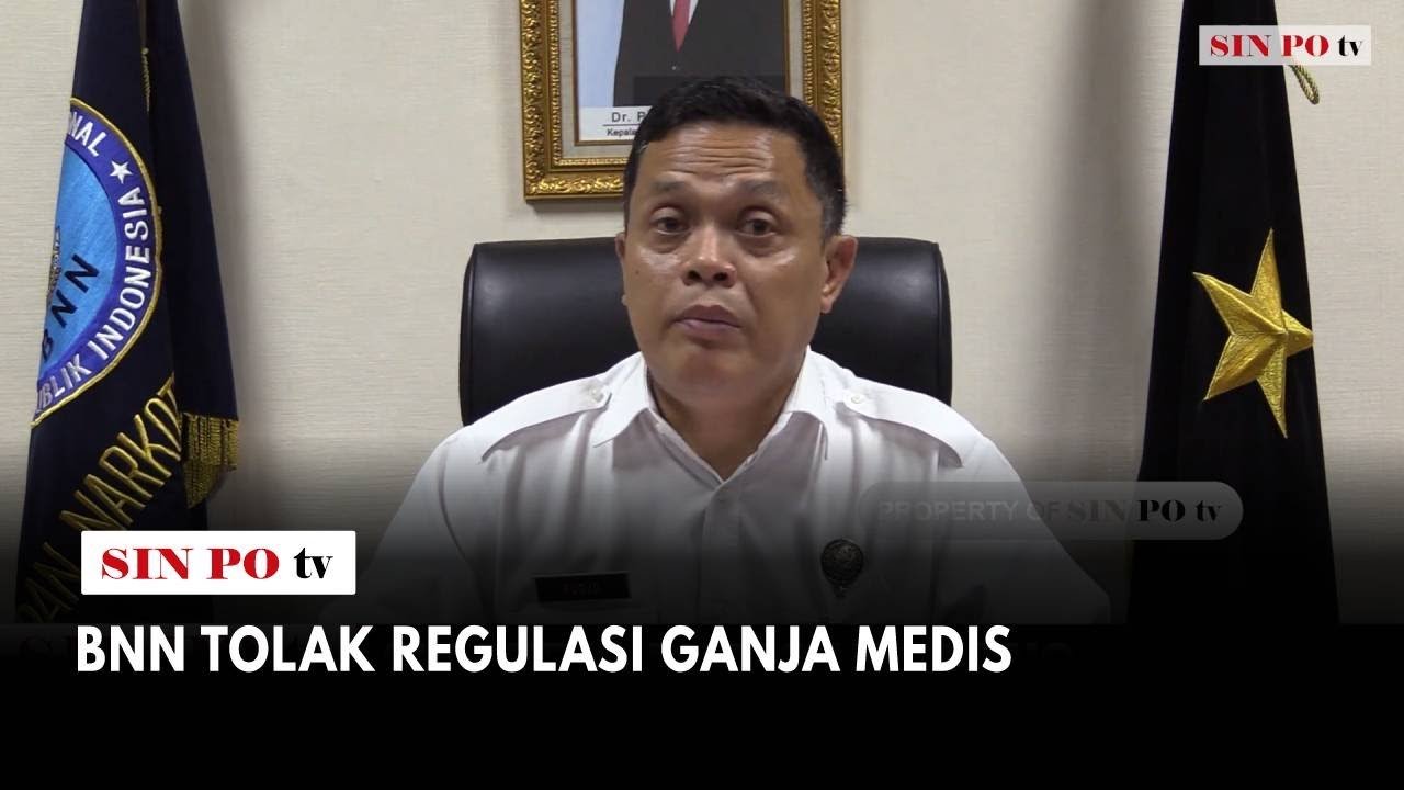 BNN Tolak Regulasi Ganja Medis