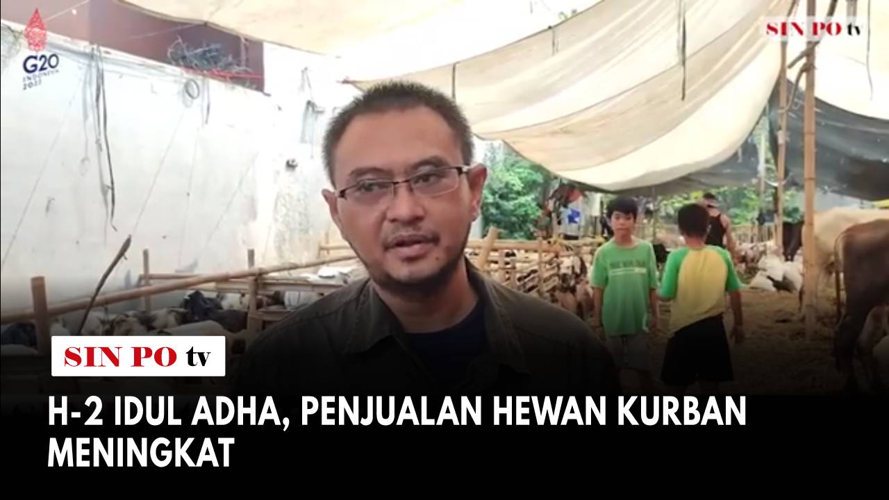 H-2 Idul Adha, Penjualan Hewan Kurban Meningkat