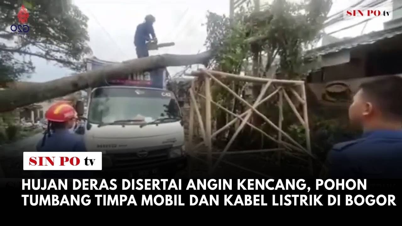 Hujan Deras Disertai Angin Kencang, Pohon Tumbang Timpa Mobil dan Kabel Listrik Di Bogor