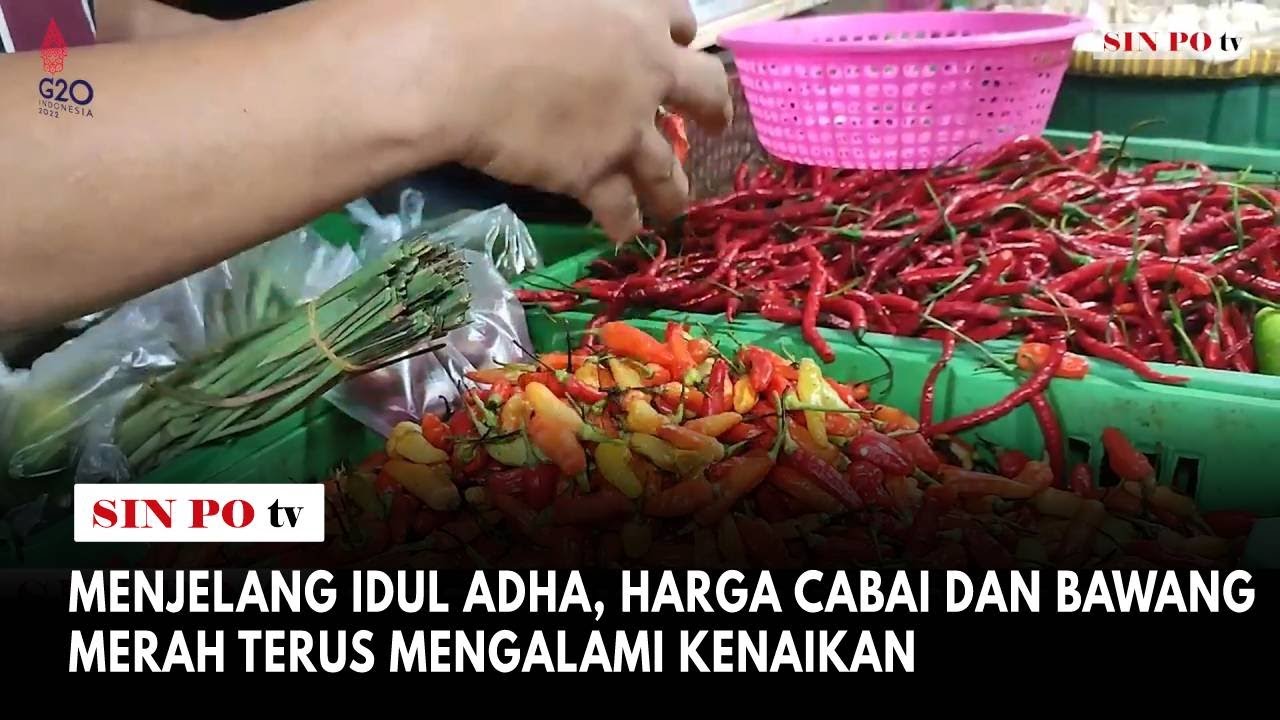 Menjelang Idul Adha, Harga Cabai Dan Bawang Merah Terus Mengalami Kenaikan