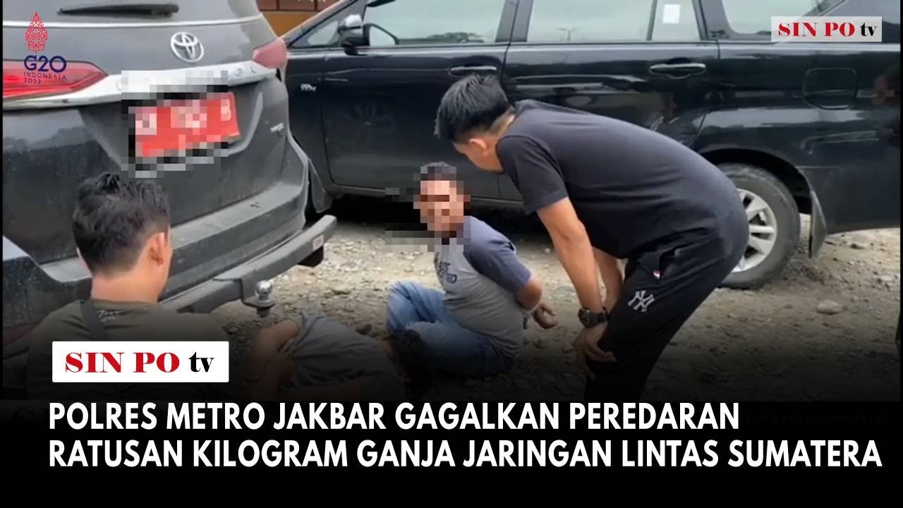 Polres Metro Jakbar Gagalkan Peredaran Ratusan Kilogram Ganja Jaringan Lintas Sumatera