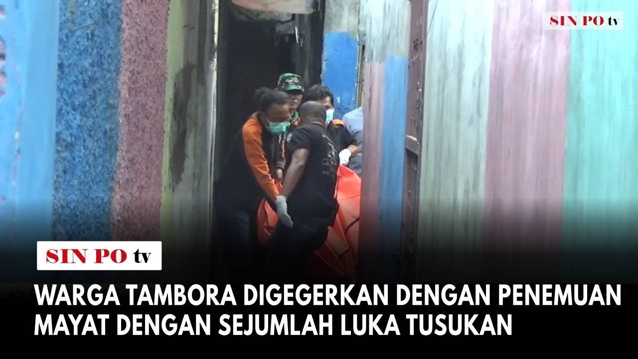 Warga Tambora Digegerkan Dengan Penemuan Mayat Dengan Sejumlah Luka Tusukan