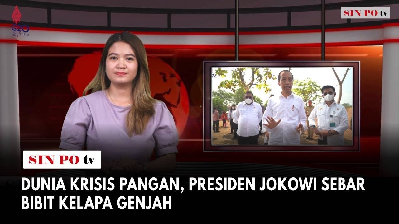 Dunia Krisis Pangan, Presiden Jokowi Sebar Bibit Kelapa Genjah