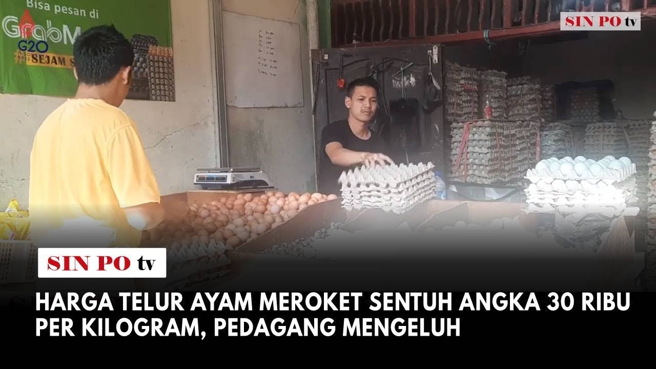 Harga Telur Ayam Meroket Sentuh Angka 30 Ribu Per Kilogram, Pedagang Mengeluh