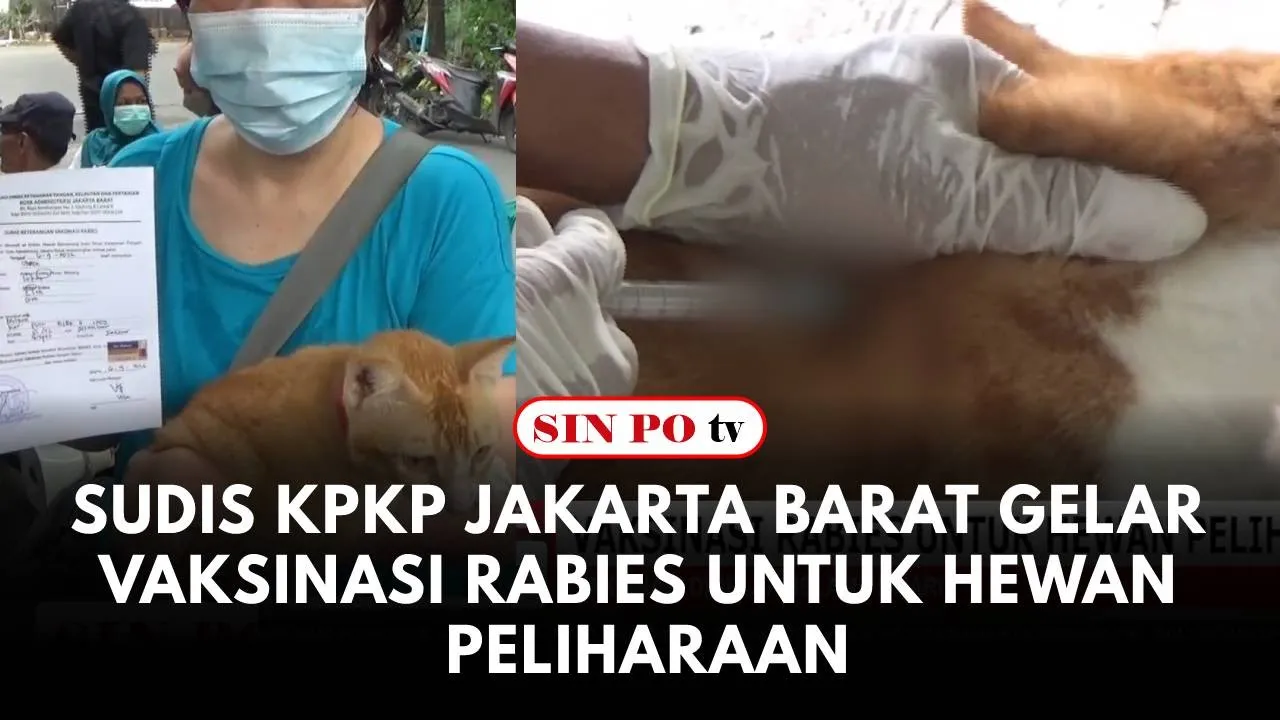 Cegah Rabies, Sudis KPKP Jakarta Barat Gelar Vaksinasi Rabies Untuk Hewan Peliharaan