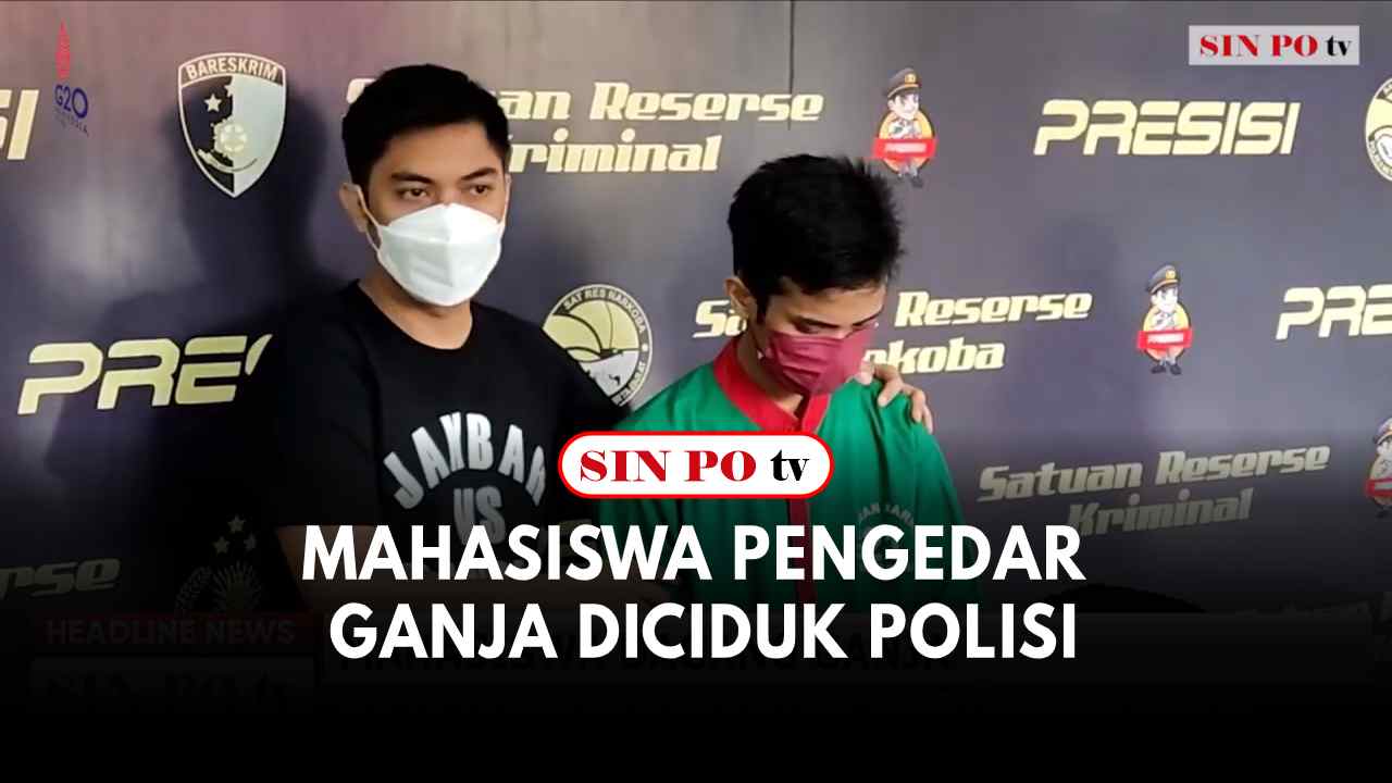 Mahasiswa Pengedar Ganja Diciduk Polisi