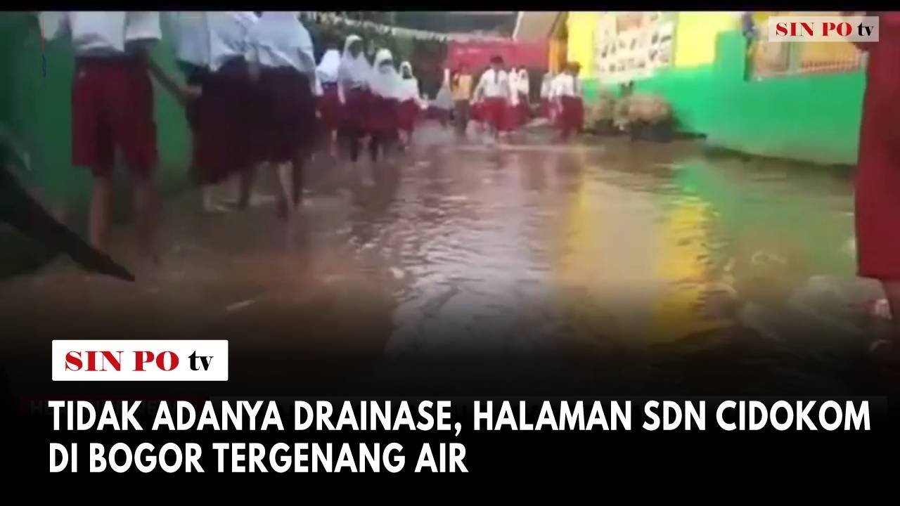 Tidak Adanya Drainase, Halaman SDN Cidokom Di Bogor Tergenang Air