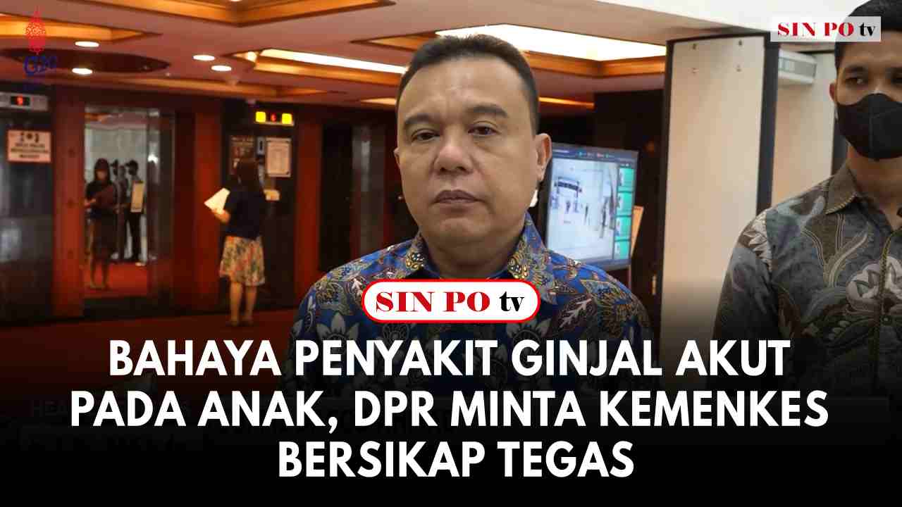 Wakil Ketua DPR RI Sufmi Dasco Ahmad