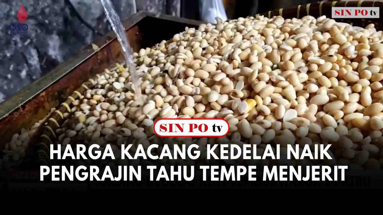 Harga Kacang Kedelai Naik Pengrajin Tahu Tempe Menjerit