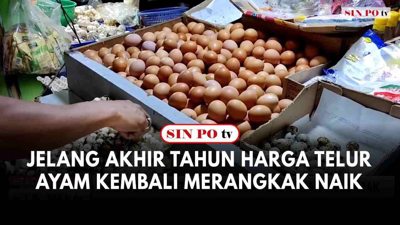 Jelang Akhir Tahun Harga Telur Ayam Kembali Merangkak Naik