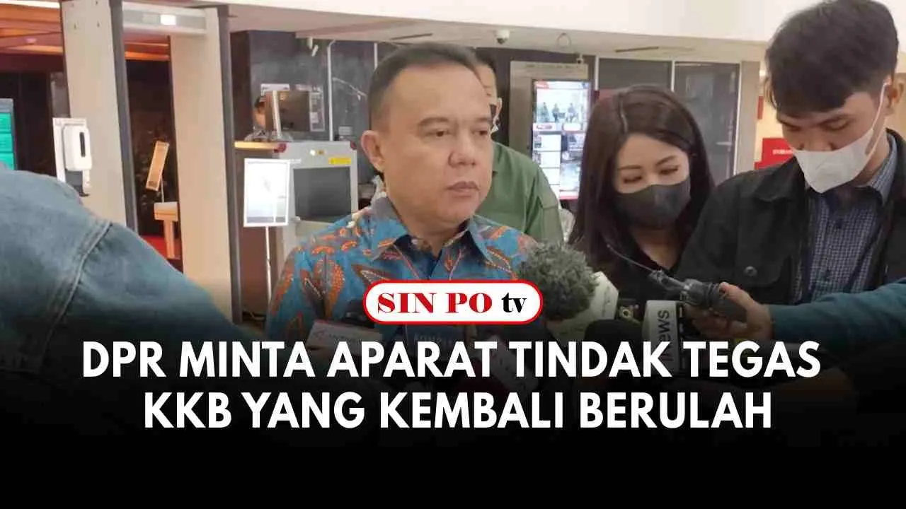 DPR Minta Aparat Tindak Tegas KKB Yang Kembali Berulah