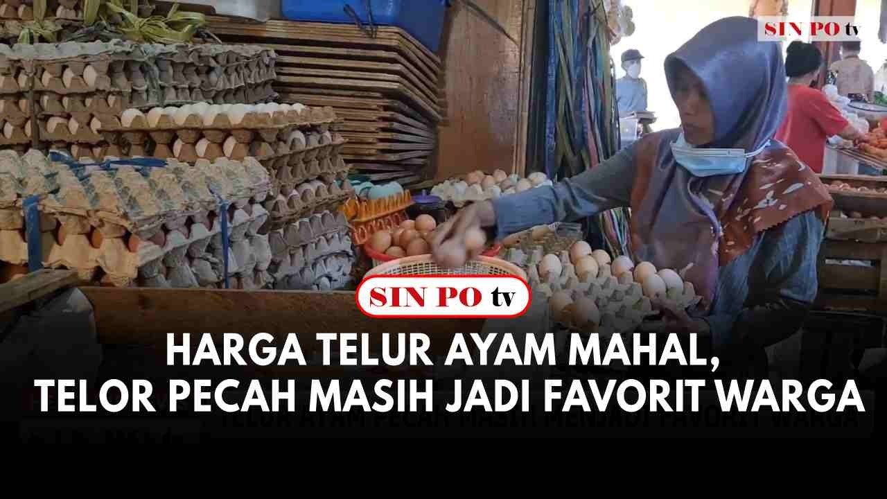 Harga Telur Ayam Mahal, Telor Pecah Masih Jadi Favorit Warga