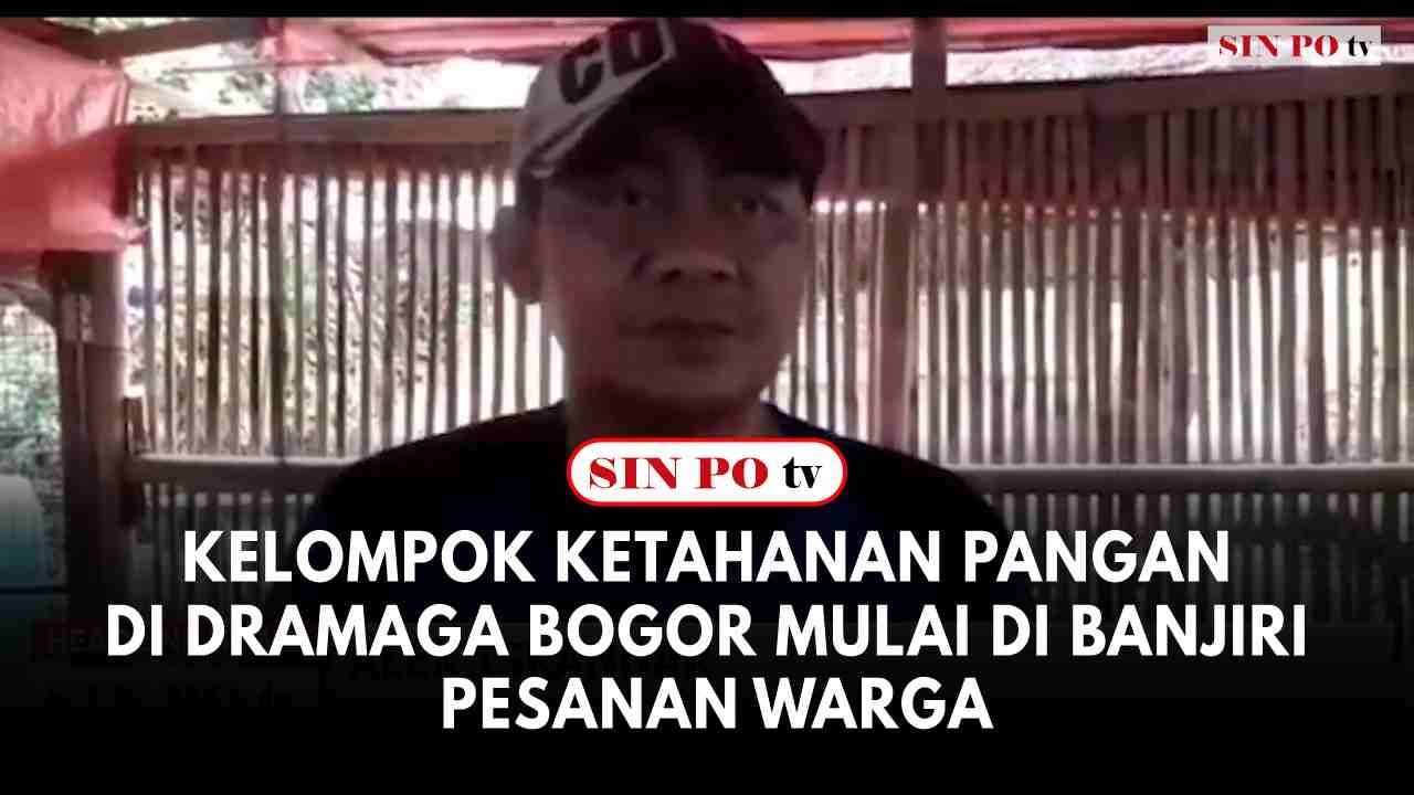 Harga Telur Meroket, Kelompok Ketahanan Pangan Di Dramaga Bogor Mulai Di Banjiri Pesanan Warga