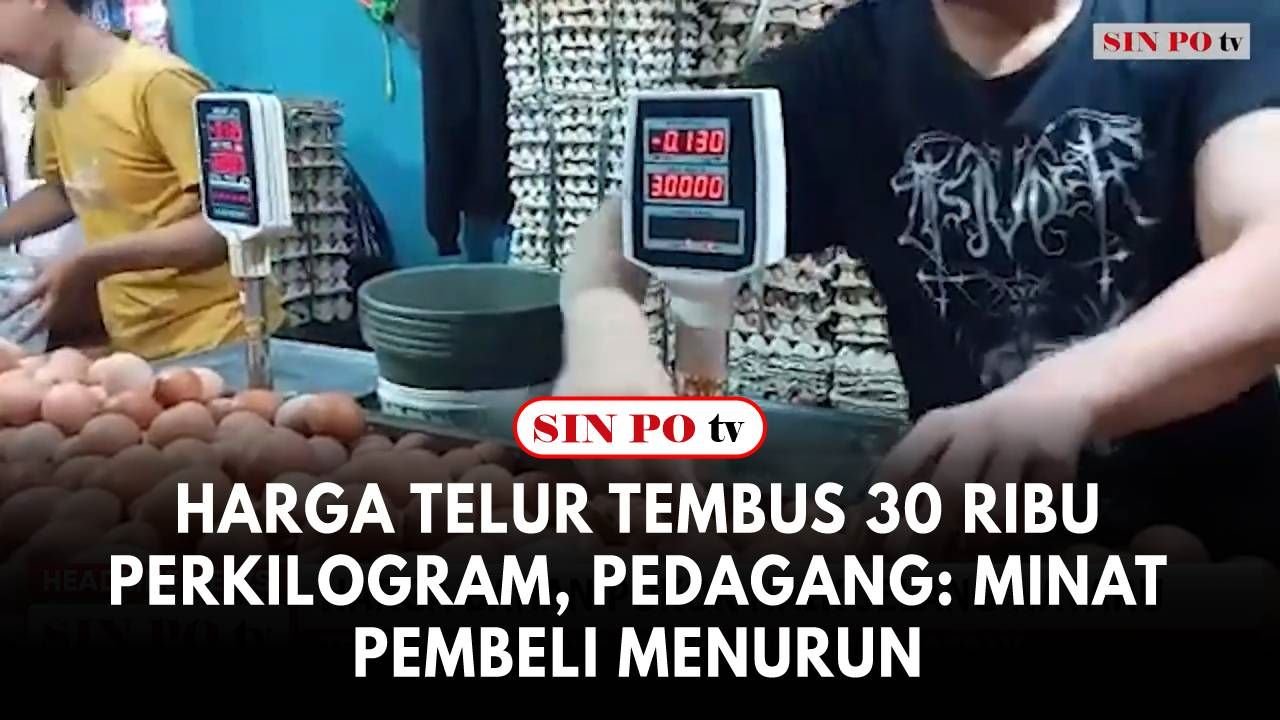 Harga Telur Tembus 30 Ribu Perkilogram, Pedagang: Minat Pembeli Menurun