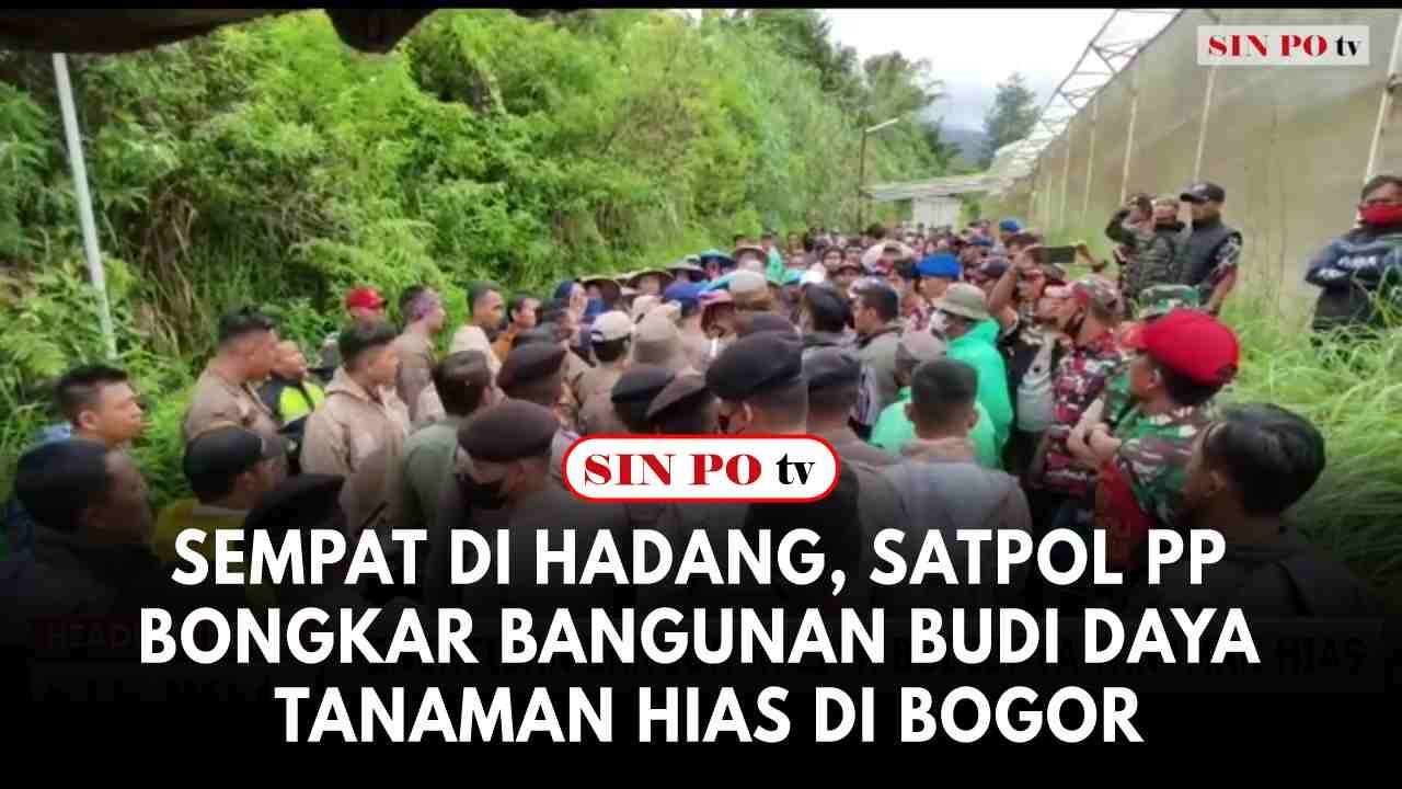 Sempat Di Hadang, Satpol PP Bongkar Bangunan Budi Daya Tanaman Hias Di Bogor