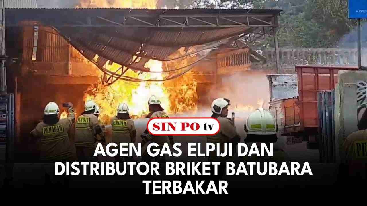 Agen Gas Elpiji Dan Distributor Briket Batubara Terbakar