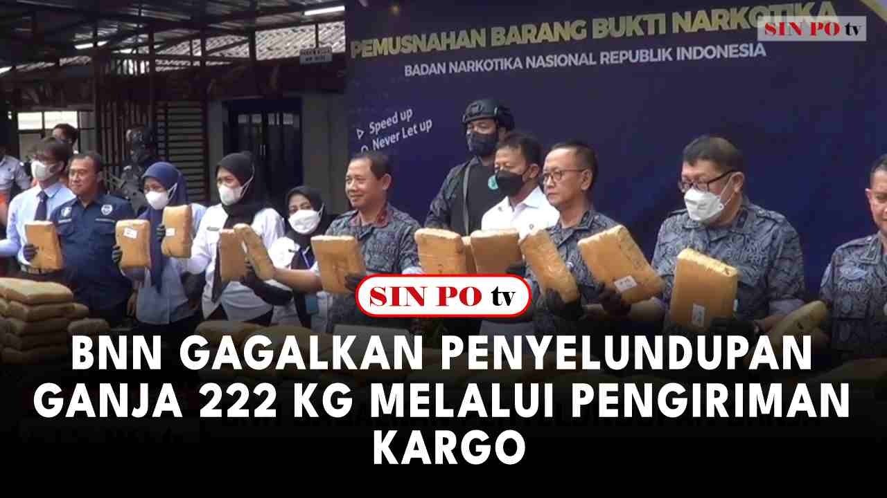 BNN Gagalkan Penyelundupan Ganja 222 Kg Melalui Pengiriman Kargo