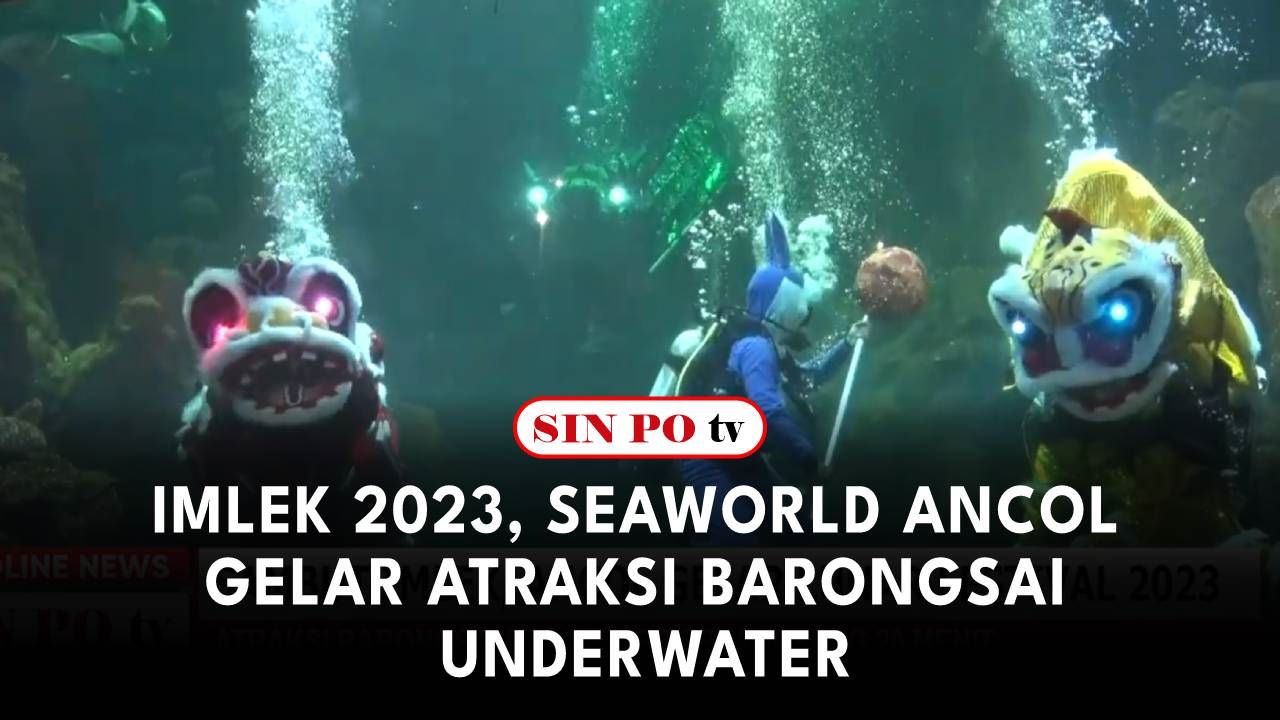 Imlek 2023, Seaworld Ancol Gelar Atraksi Barongsai Underwater