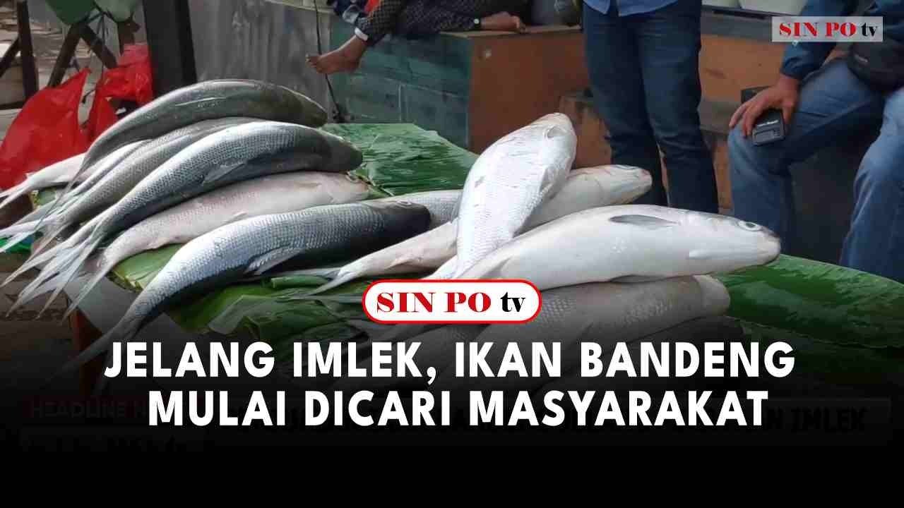 Jelang Imlek, Ikan Bandeng Mulai Dicari Masyarakat