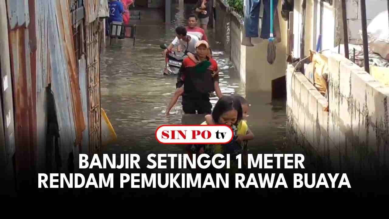 Banjir Setinggi 1 Meter Rendam Pemukiman Rawa Buaya