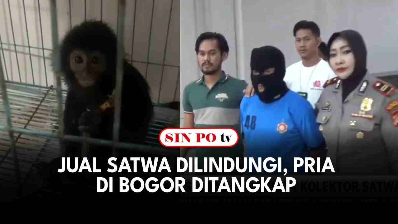 Jual Satwa Dilindungi, Pria di Bogor Ditangkap