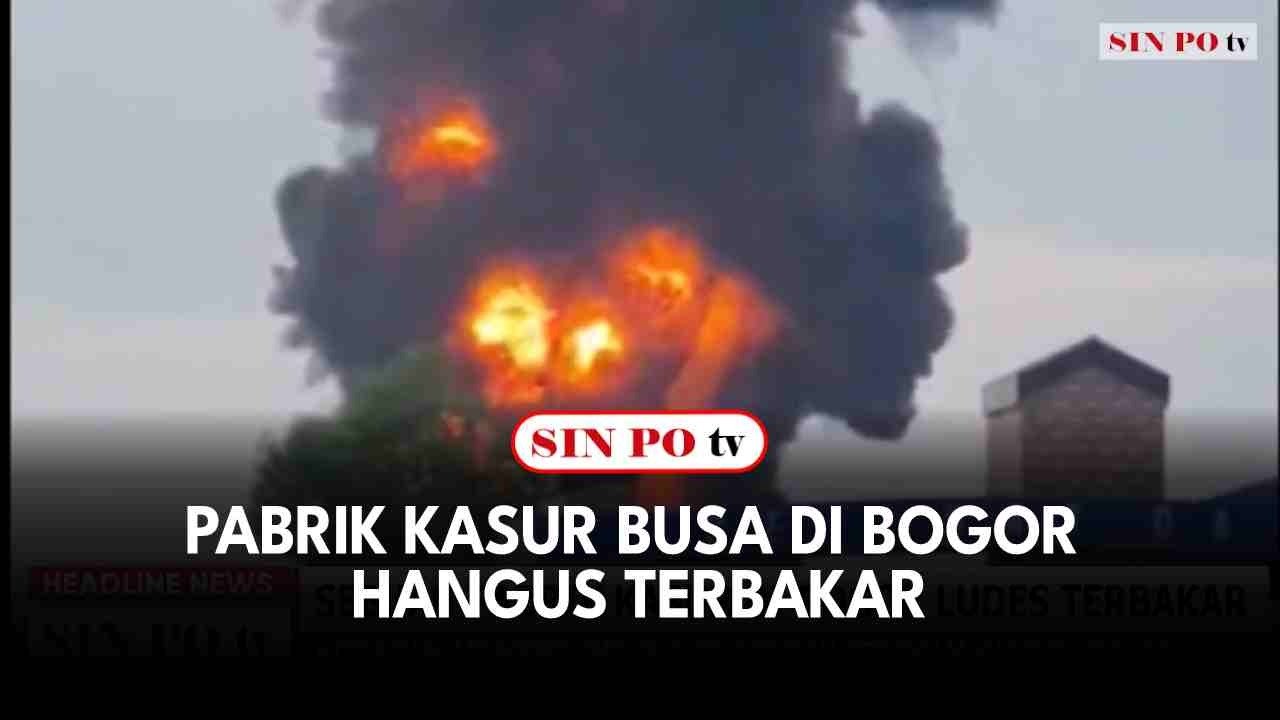 Pabrik Kasur Busa Di Bogor Hangus Terbakar