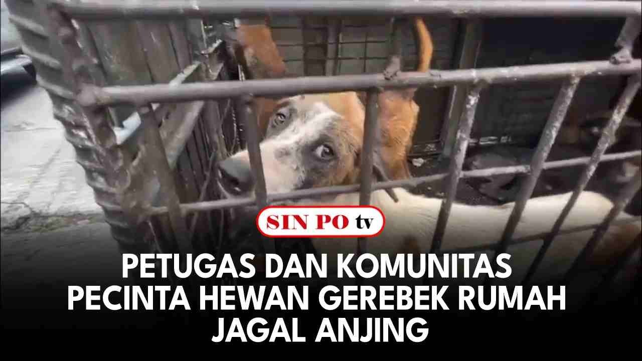 Petugas Dan Komunitas Pecinta Hewan Gerebek Rumah Jagal Anjing