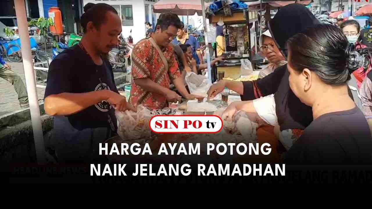 Harga Ayam Potong Naik Jelang Ramadhan