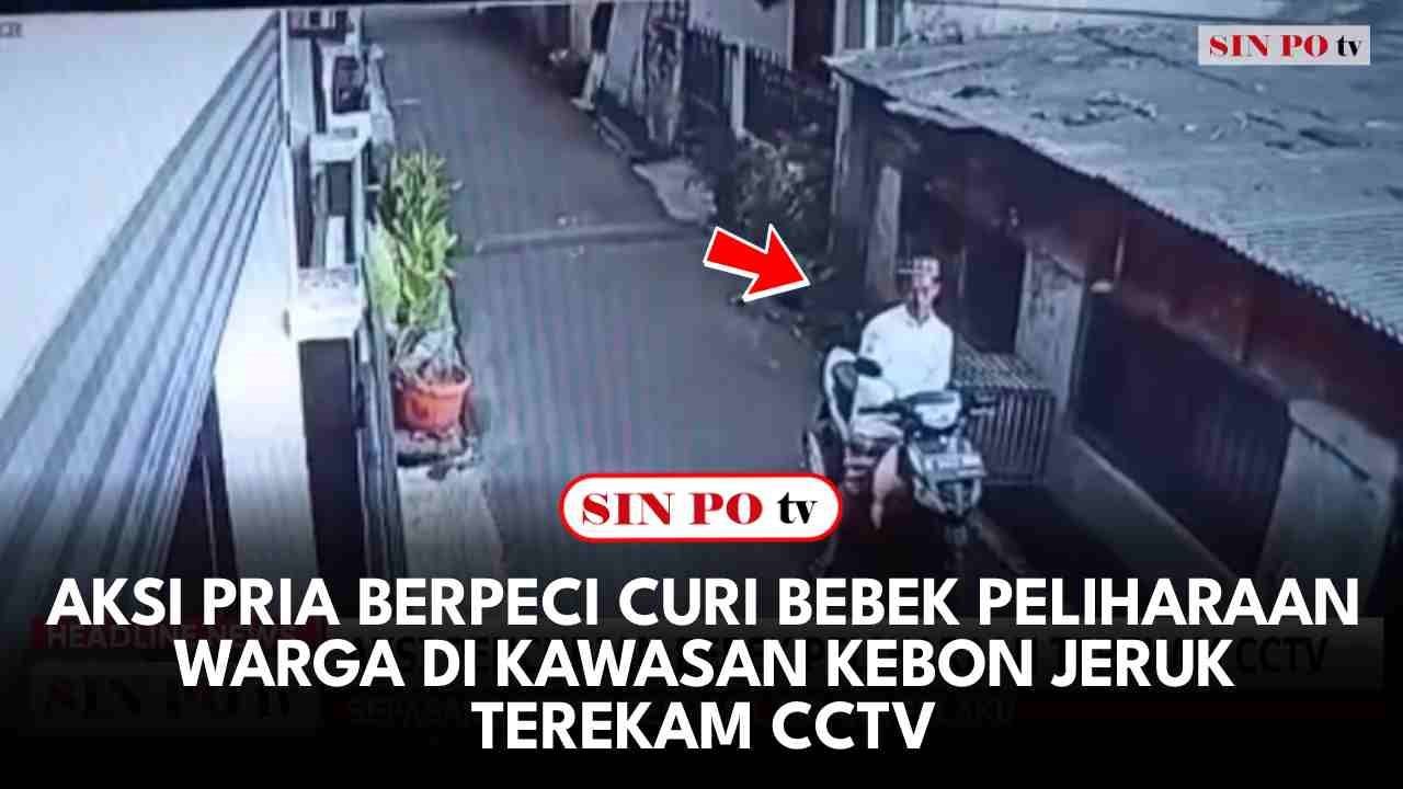 Aksi Pria Berpeci Curi Bebek Peliharaan Warga Di Kawasan Kebon Jeruk Terekam CCTV