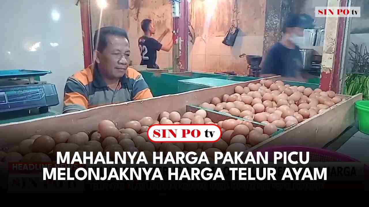 Mahalnya Harga Pakan Picu Melonjaknya Harga Telur Ayam