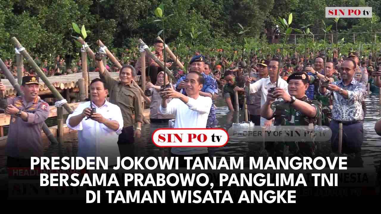 Presiden Jokowi Tanam Mangrove Bersama Prabowo, Panglima TNI Di Taman Wisata Angke