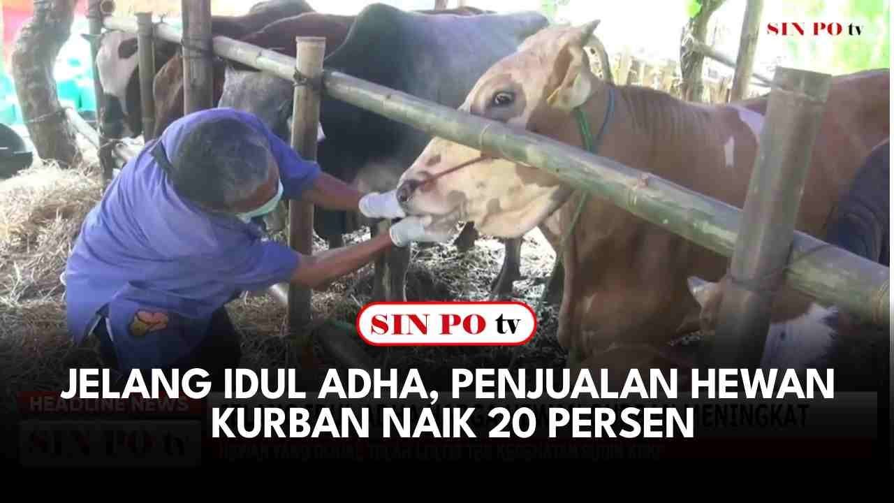 Jelang Idul Adha, Penjualan Hewan Kurban Naik 20 Persen