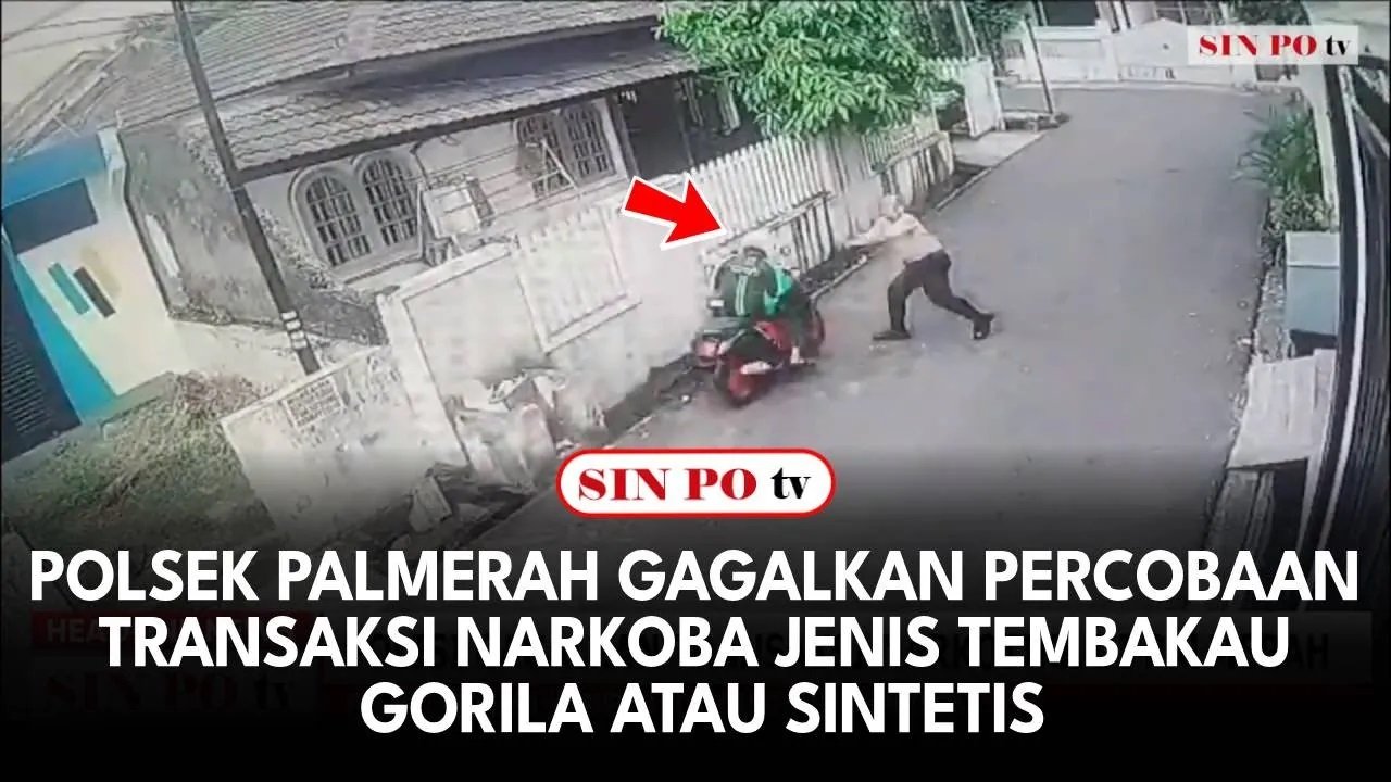 Polsek Palmerah Gagalkan Percobaan Transaksi Narkoba Jenis Tembakau Gorila Atau Sintetis