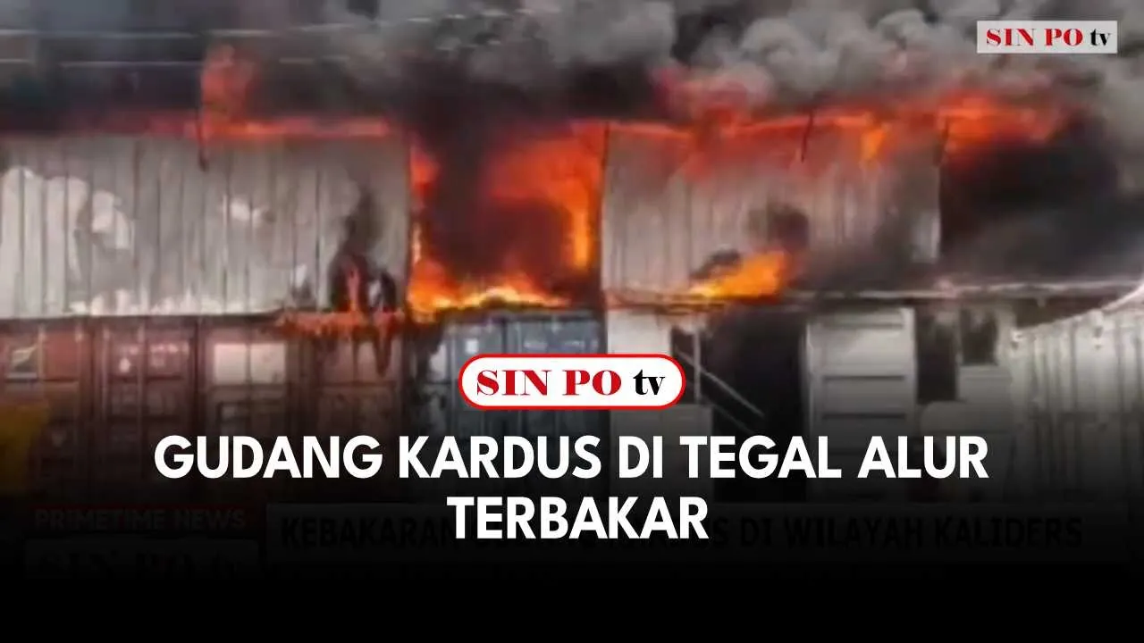 Gudang Kardus Di Tegal Alur Terbakar