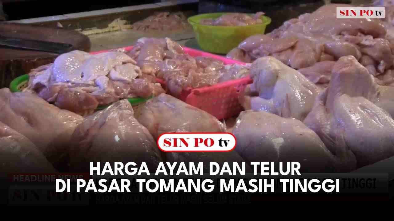 Harga Ayam Dan Telur Di Pasar Tomang Masih Tinggi