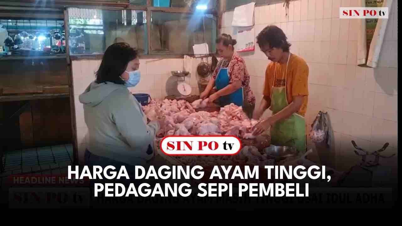 Harga Daging Ayam Tinggi, Pedagang Sepi Pembeli