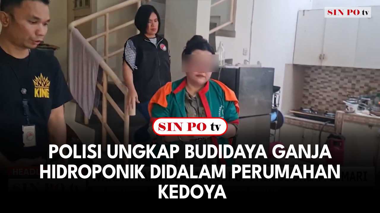 Polisi Ungkap Budidaya Ganja Hidroponik Didalam Perumahan Kedoya