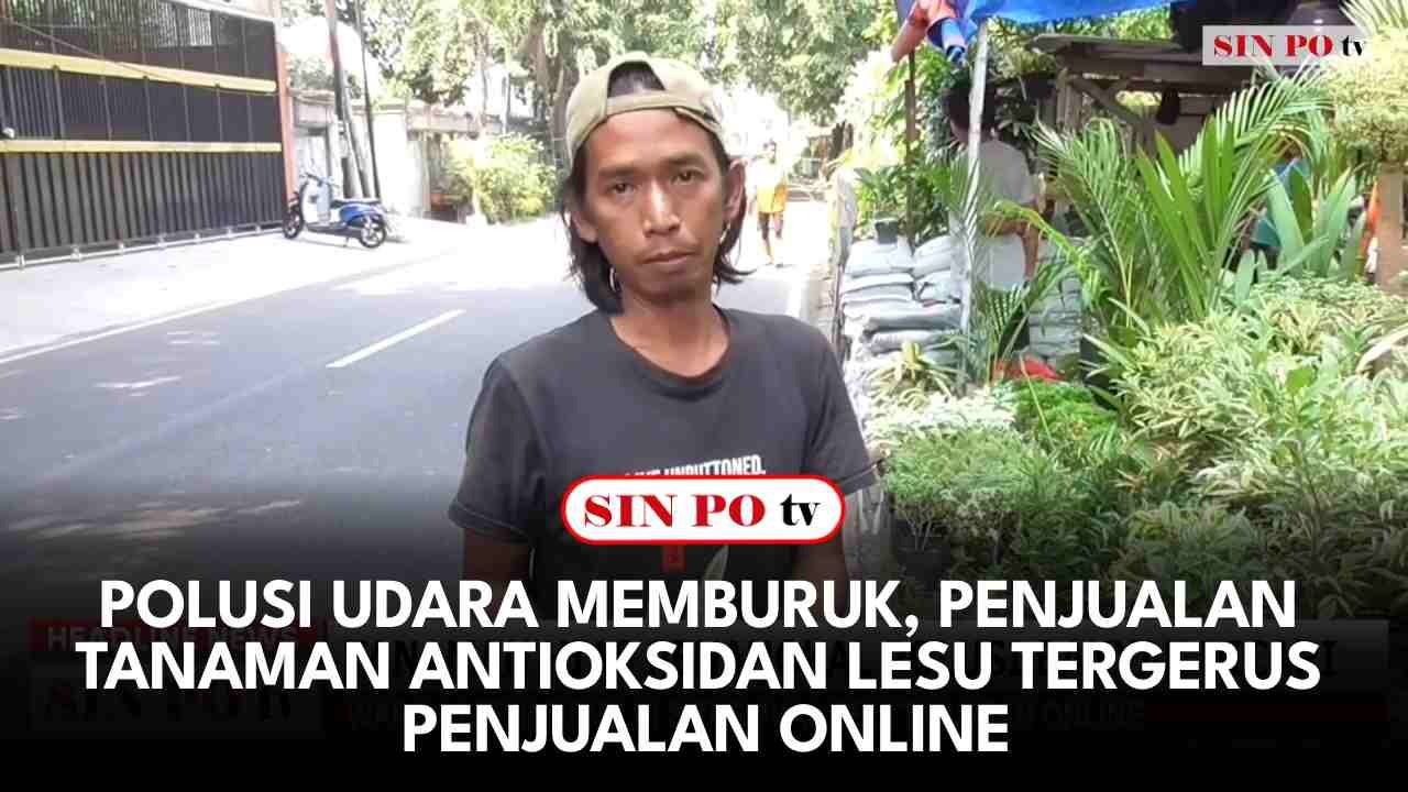 Polusi Udara Memburuk, Penjualan Tanaman Antioksidan Lesu Tergerus Penjualan Online