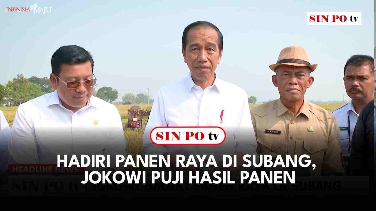 Hadiri Panen Raya Di Subang, Jokowi Puji Hasil Panen