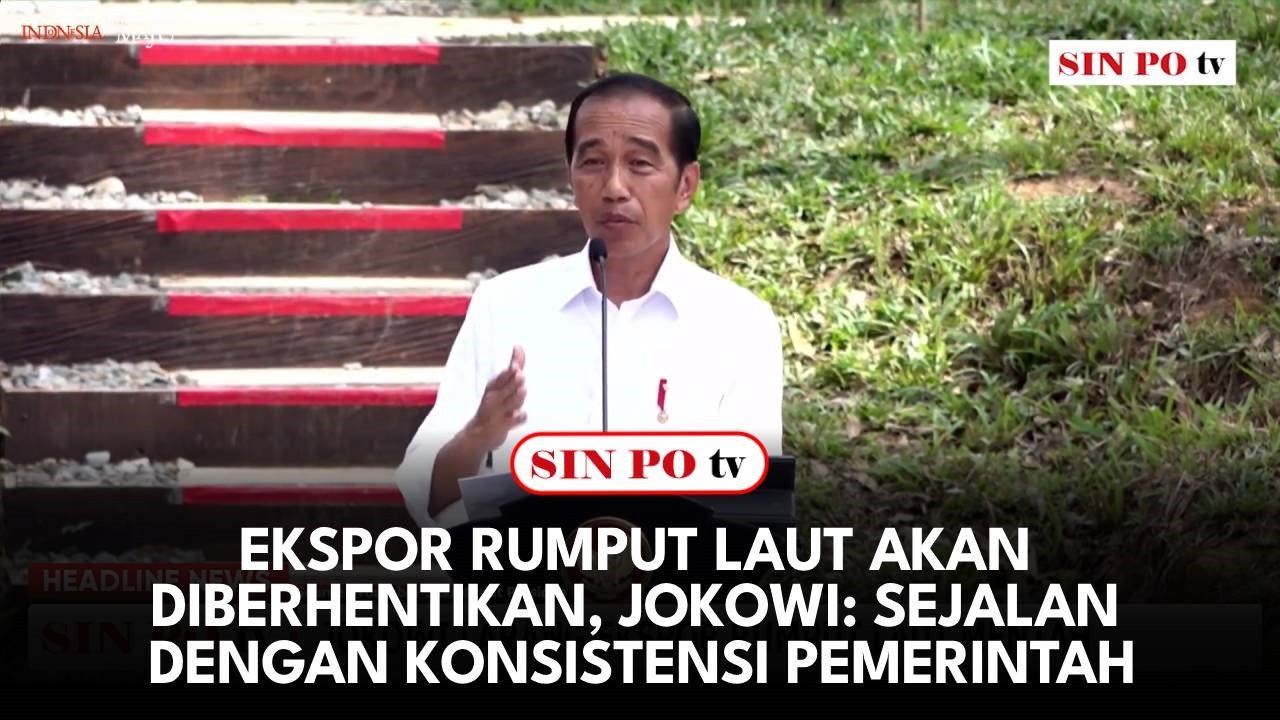 Ekspor Rumput Laut Akan Diberhentikan, Jokowi: Sejalan Dengan Konsistensi Pemerintah