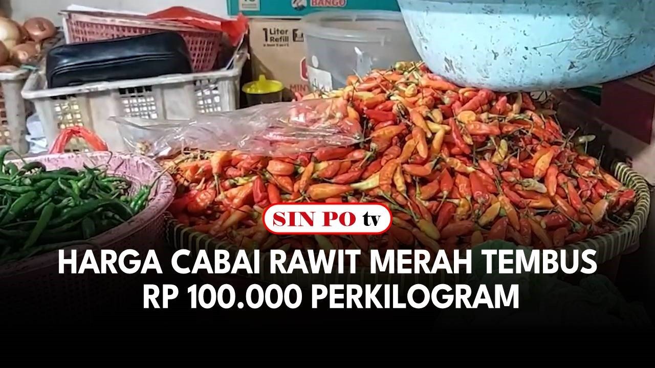 Harga Cabai Rawit Merah Tembus Rp 100.000 Perkilogram