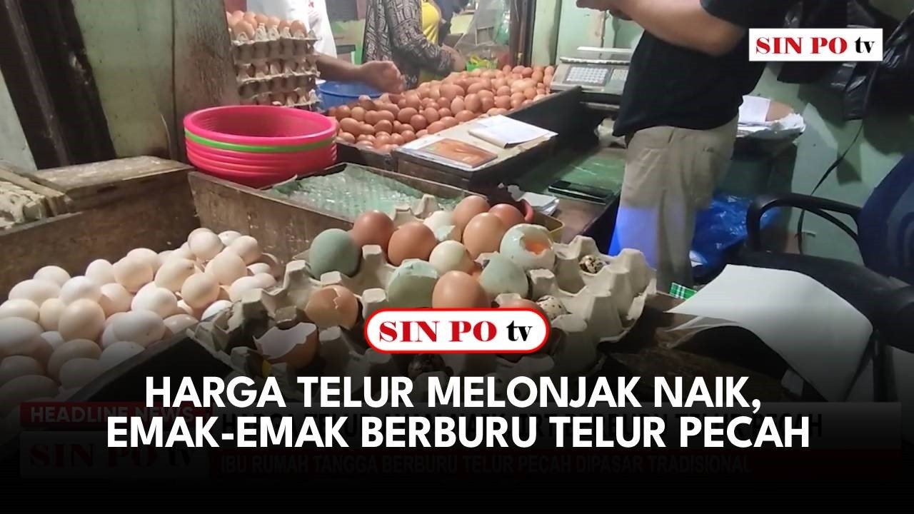 Harga Telur Melonjak Naik, Emak-Emak Berburu Telur Pecah