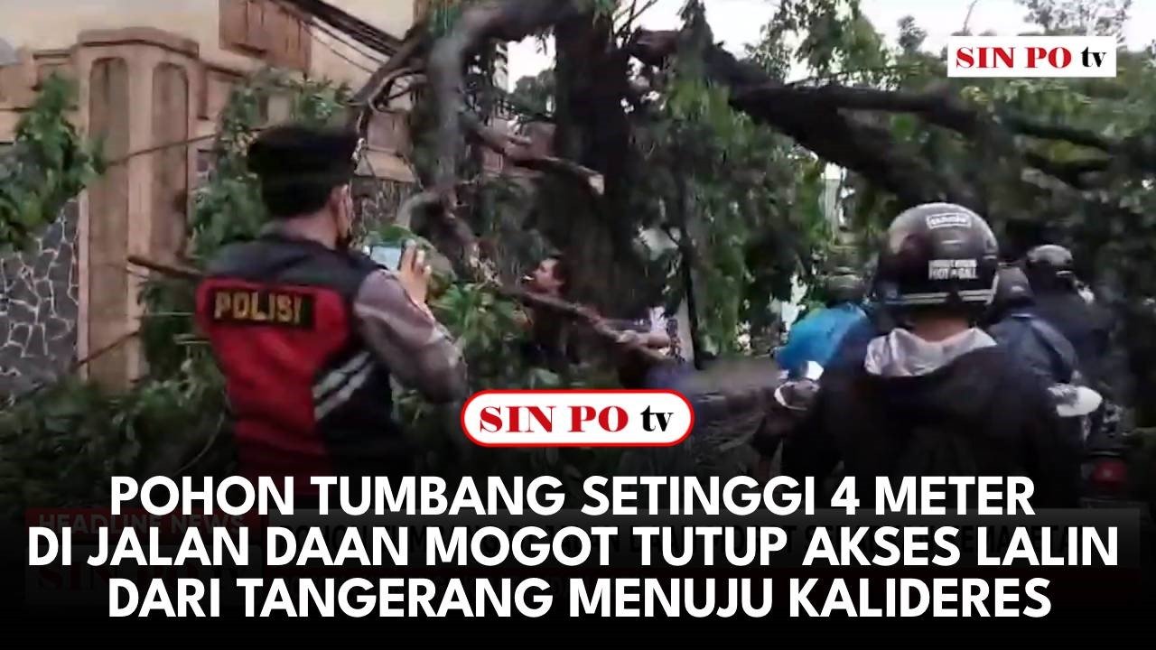 Pohon Tumbang Setinggi 4 Meter di Jalan Daan Mogot Tutup Akses Lalin Dari Tangerang Menuju Kalideres